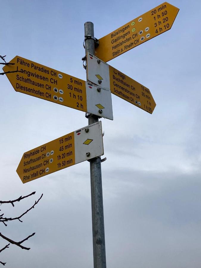 Apartmán Buesingen Am Hochrhein Radfahren, Wandern, Natur Geniessen Exteriér fotografie