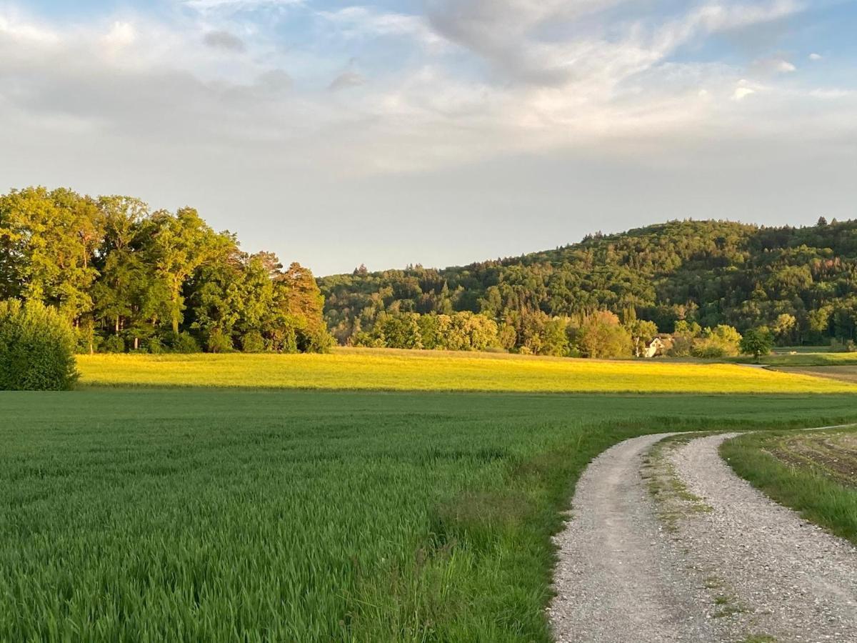 Apartmán Buesingen Am Hochrhein Radfahren, Wandern, Natur Geniessen Exteriér fotografie