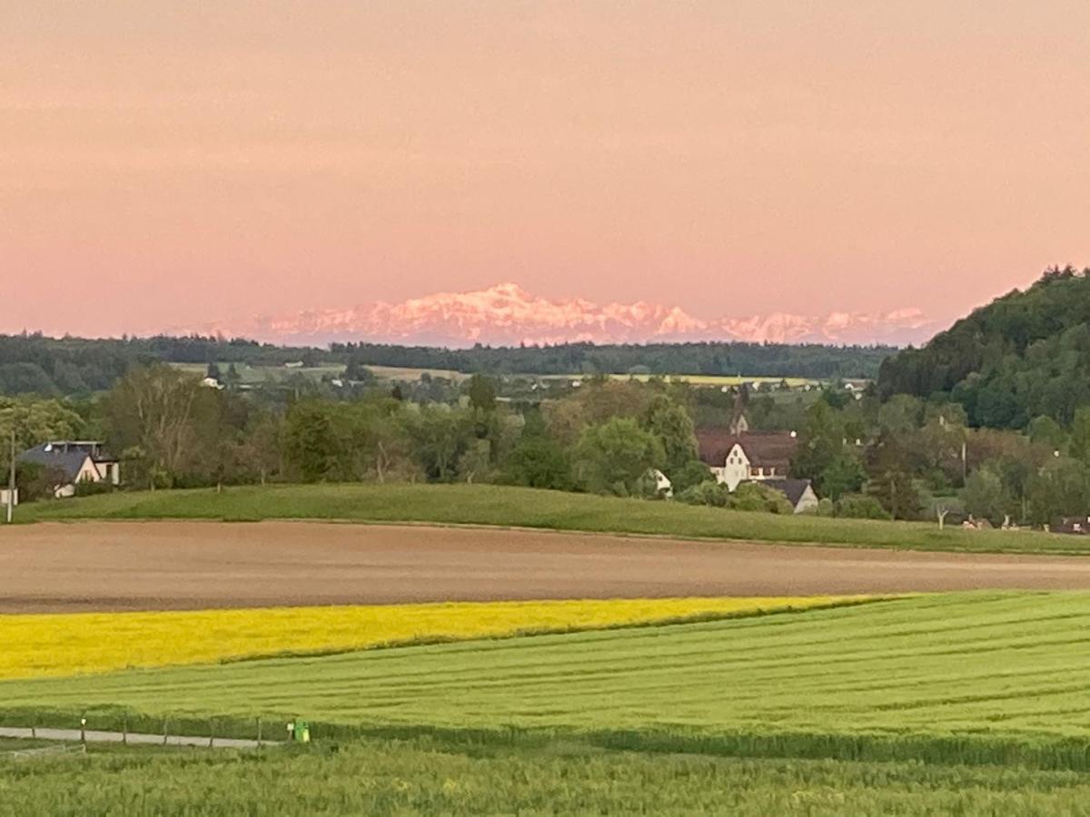 Apartmán Buesingen Am Hochrhein Radfahren, Wandern, Natur Geniessen Exteriér fotografie