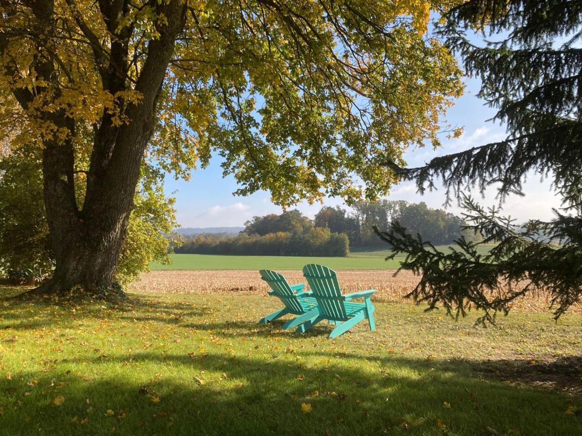 Apartmán Buesingen Am Hochrhein Radfahren, Wandern, Natur Geniessen Exteriér fotografie